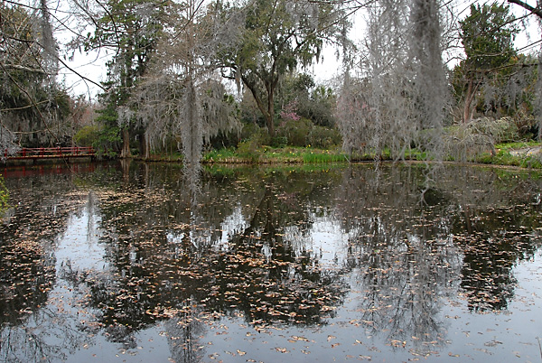 Charleston Magnolia Plantation