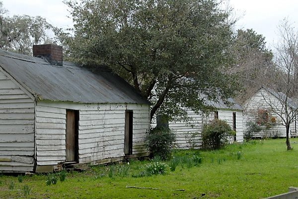 Charleston Magnolia Plantation